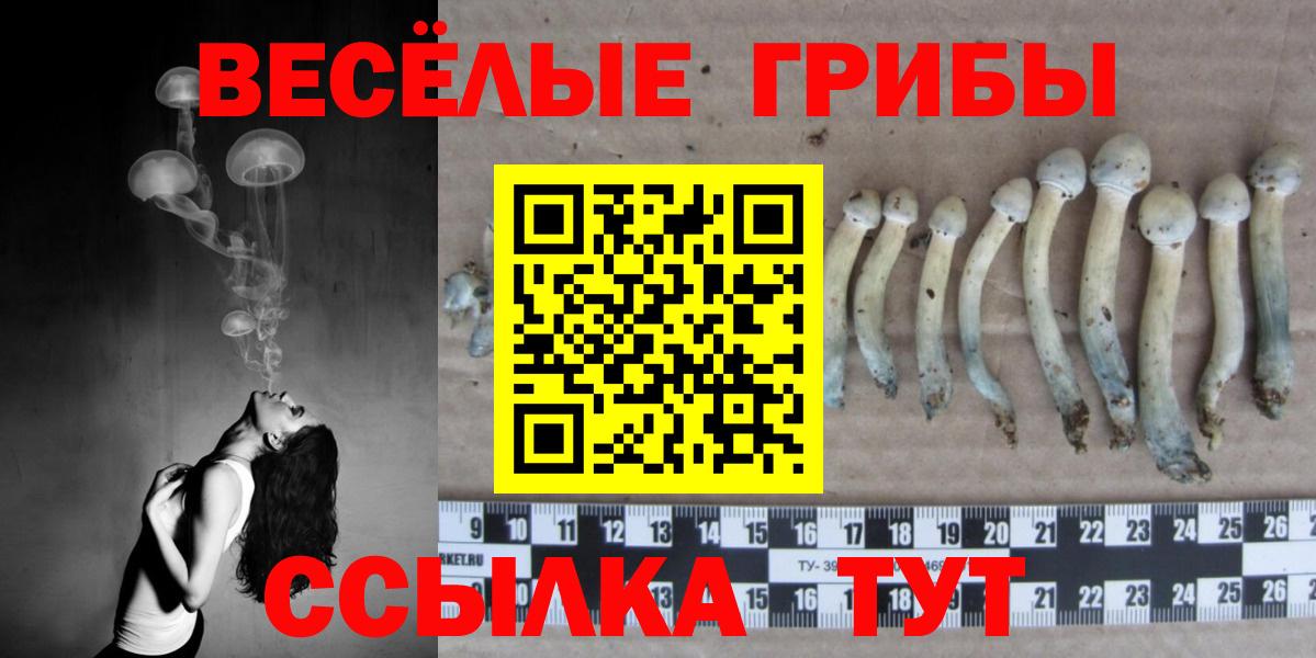Россошь  Галлюциногенные грибы GOLDEN TEACHER  Вход с VPN 